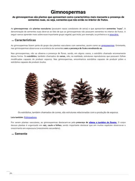 Perguntas e Respostas sobre as Gimnospermas