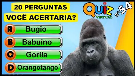 Perguntas e Respostas sobre BETA e ALPHA