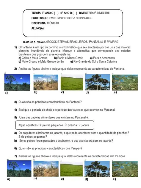 Perguntas e Respostas sobre Ecossistemas Costeiros