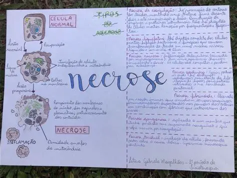 Perguntas e Respostas sobre Necrose