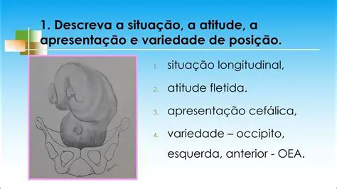 Perguntas e respostas sobre o crescimento cerebral fetal e o DHA