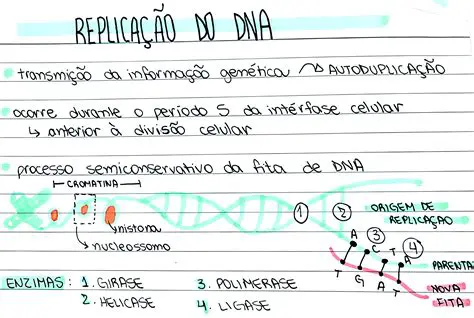Perguntas e Respostas sobre o DNA e a Biologia Molecular