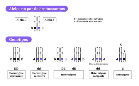Perguntas e Respostas sobre o Genotipo Heterozigoto