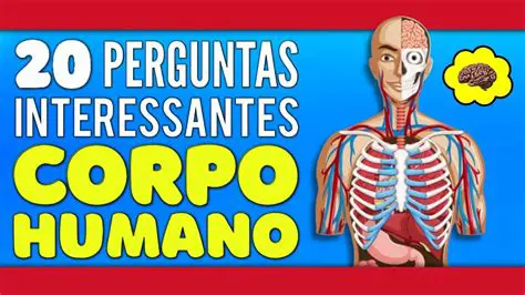 Perguntas e Respostas sobre o Mecanismo Humano