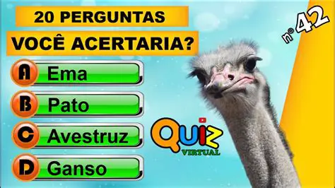 Perguntas e Respostas sobre o Tempo de Estudo