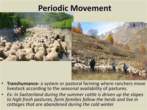 Periodic movement of vaulted assets
