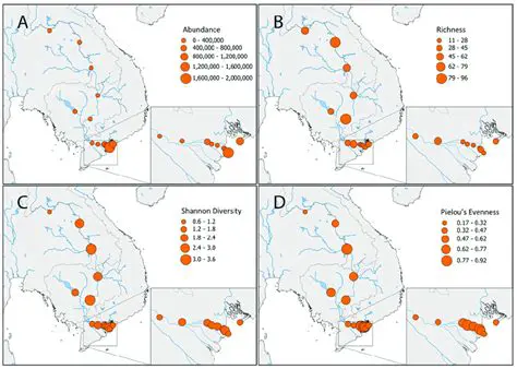 Peripitone Diversity and Abundance in the Deli River