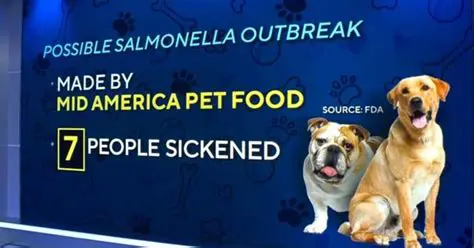 FDA Announces Pet Food Salmonella Recall: What Pet Owners Need to Know