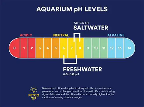 pH Levels of Different Water Sources