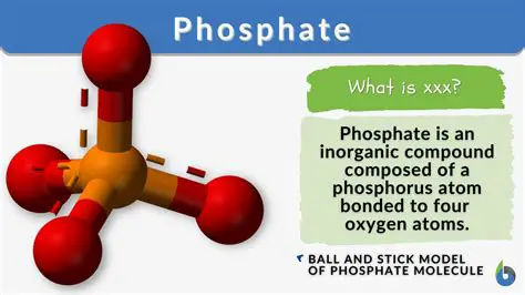 Phosphorus is a naturally occurring element