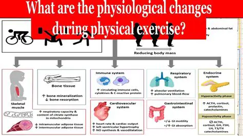 Physiological Changes During Inspiration