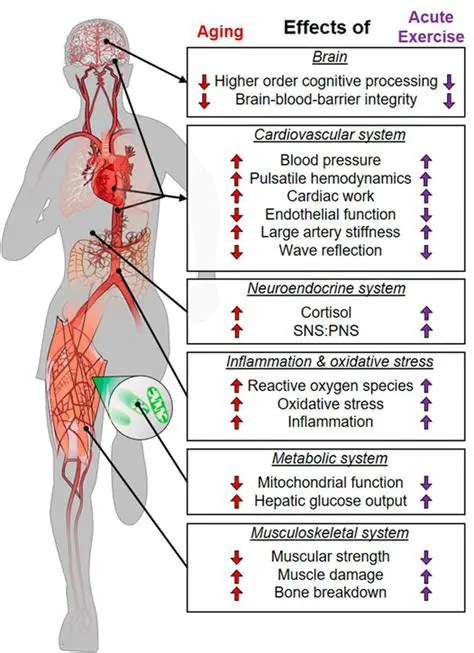 Physiological Changes in Aging