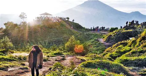 Pilihan Jalan Menuju Puncak Gunung