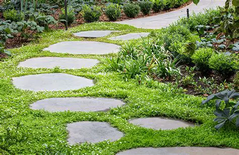 Planting Groundcovers and Vegetation