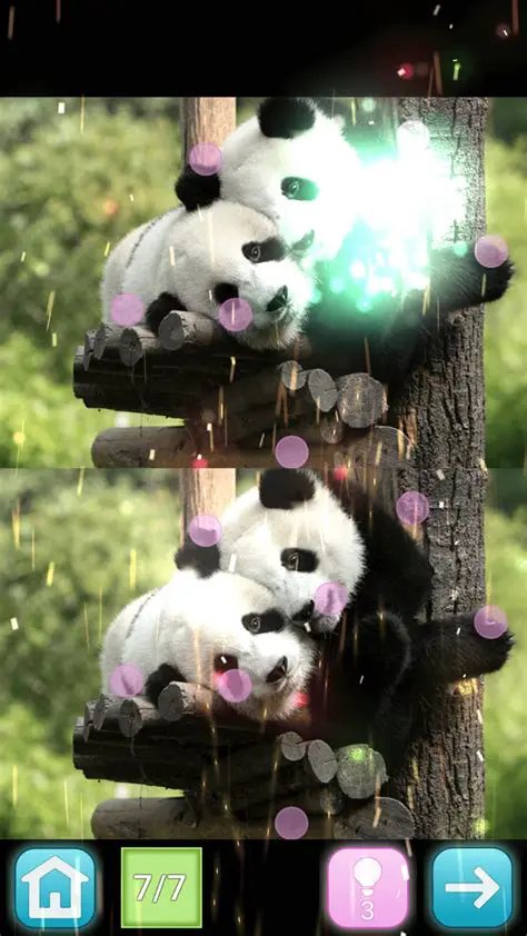 Play Hint and Hint Features