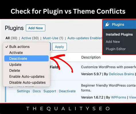 Plugin and Theme Conflicts