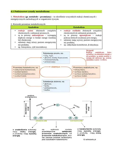 Podstawowe Zasady Algebraiki
