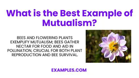 Pollination as a Classic Example of Mutualism