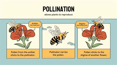 Pollination is a crucial process