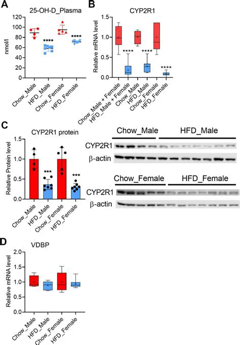 Polymorphism in the CYP2R1 gene