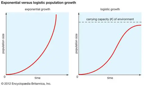 Population growth function