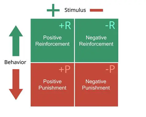 Positive and Negative Reinforcement