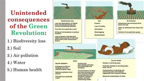 Positive Effects of the Green Revolution
