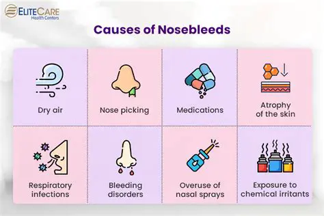 Possible Causes of the No Connection Issue