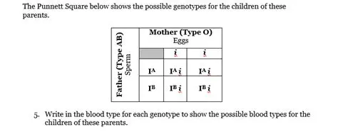 Possible Genotypes of Children
