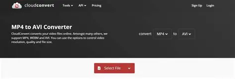 Powerful AVI Conversion Capabilities