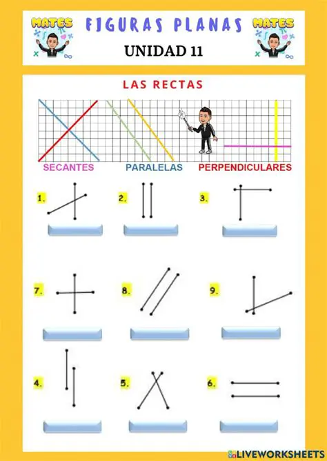 Practicar con ejercicios y preguntas