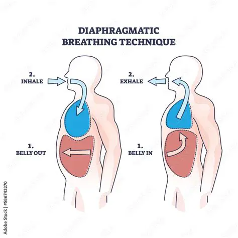 Practice diaphragmatic breathing