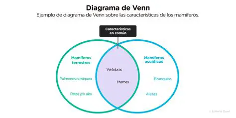 Preguntas Frecuentes sobre Diagramas de Venn