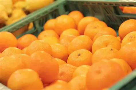 Preguntas Frecuentes sobre el Precio de Venta de Naranjas