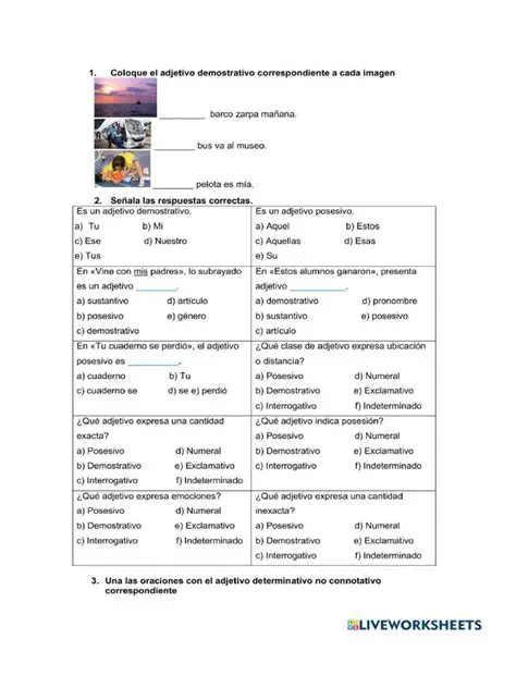 Preguntas y respuestas sobre adjetivos no connotativos