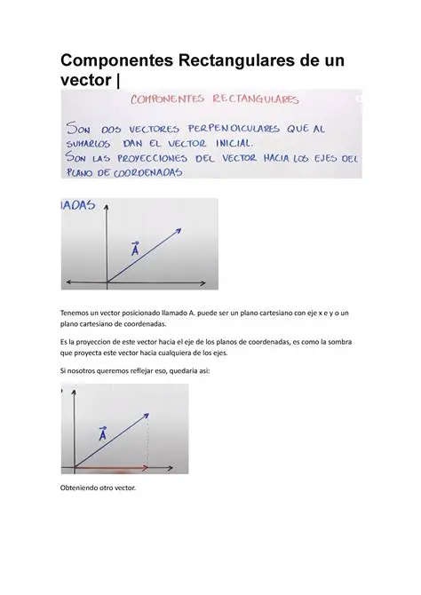 Preguntas y Respuestas sobre Componentes Rectangulares