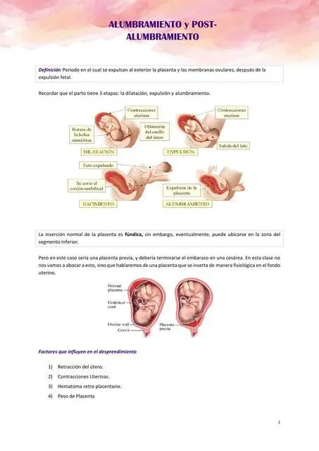 Preguntas y respuestas sobre el alumbramiento y la vida prenatal