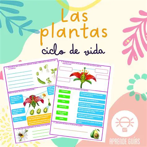 Preguntas y Respuestas sobre el Ciclo de Vida de las Plantas
