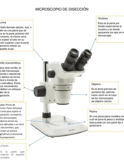 Preguntas y Respuestas Sobre El Microscopio
