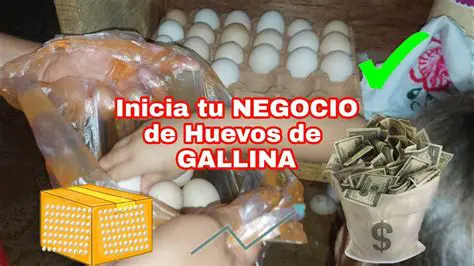 Preguntas y Respuestas sobre el Negocio de Huevos de Don Alex