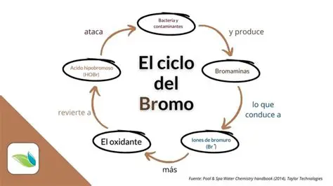 Preguntas y respuestas sobre el yodo y el bromo