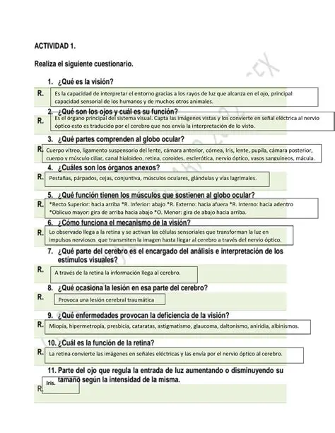 Preguntas y respuestas sobre Enrique y su cuenta bancaria