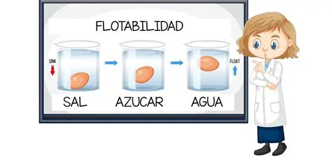 Preguntas y Respuestas sobre Flotabilidad y Peso