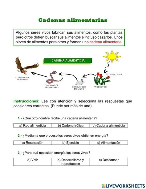 Preguntas y Respuestas sobre la Cadena Alimentaria