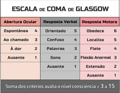 Preguntas y Respuestas sobre la Escala de las 13 Dimensiones