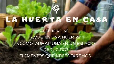 Preguntas y Respuestas sobre la Huerta de la Casa
