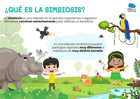Preguntas y Respuestas sobre la Simbiosis