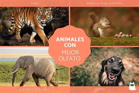 Preguntas y Respuestas sobre los 15 Animales con 12 Letras