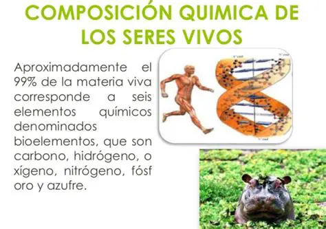 Preguntas y Respuestas sobre los Elementos Muy Importantes para los Seres Vivos