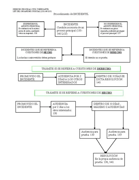 Preguntas y respuestas sobre los incidentes en la salida del tribunal